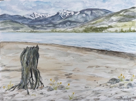 Arrow Lake, Edgewood