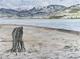 Arrow Lake, Edgewood