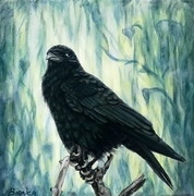 The Corvus