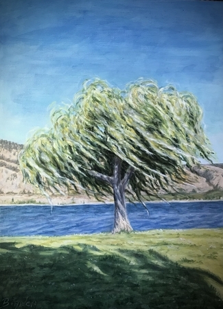 osoyoos Summer Breeze